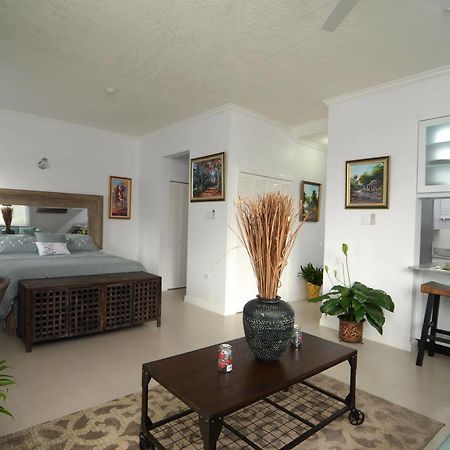 Kingsway New Kingston Guest Apartment II Extérieur photo